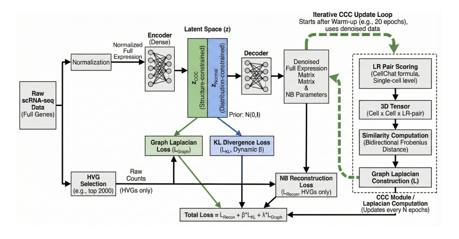 CoLa-VAE cell-cell communication-aware variational autoencoder
